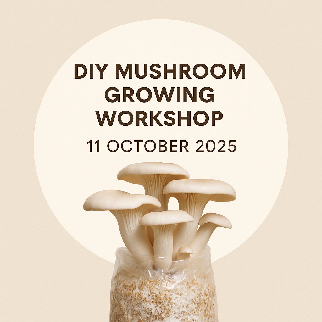 Courses and Workshops