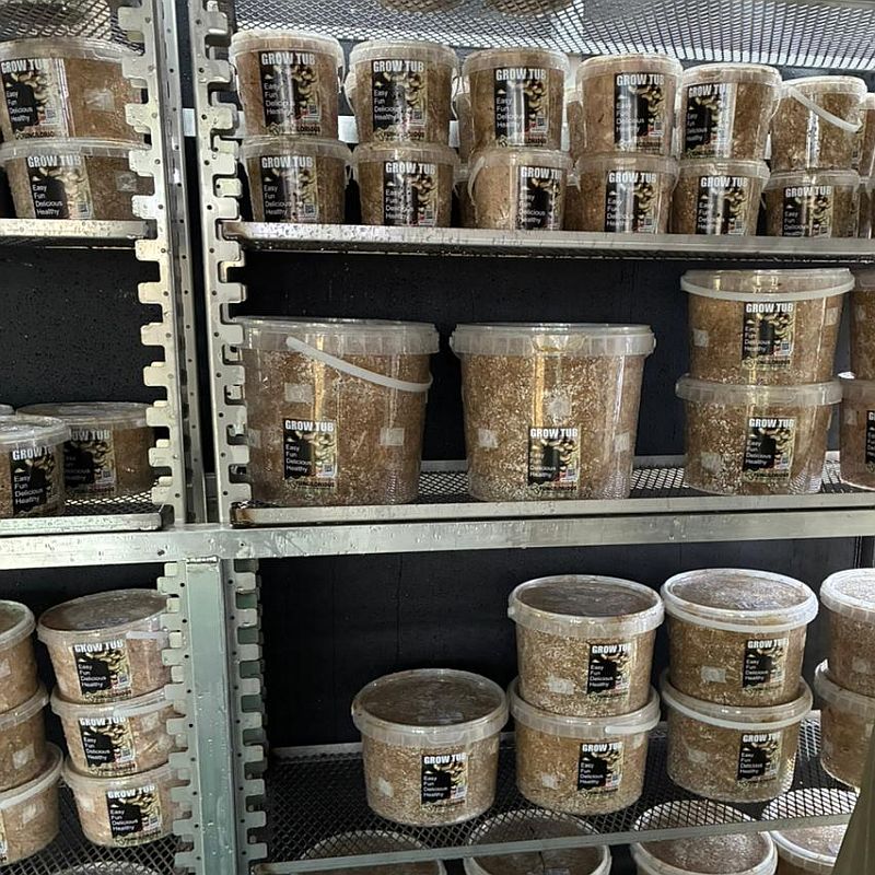 GROWTUBs and FRUITBLOCKs