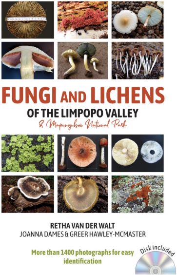 Fungi and Lichens of the Limpopo Valley