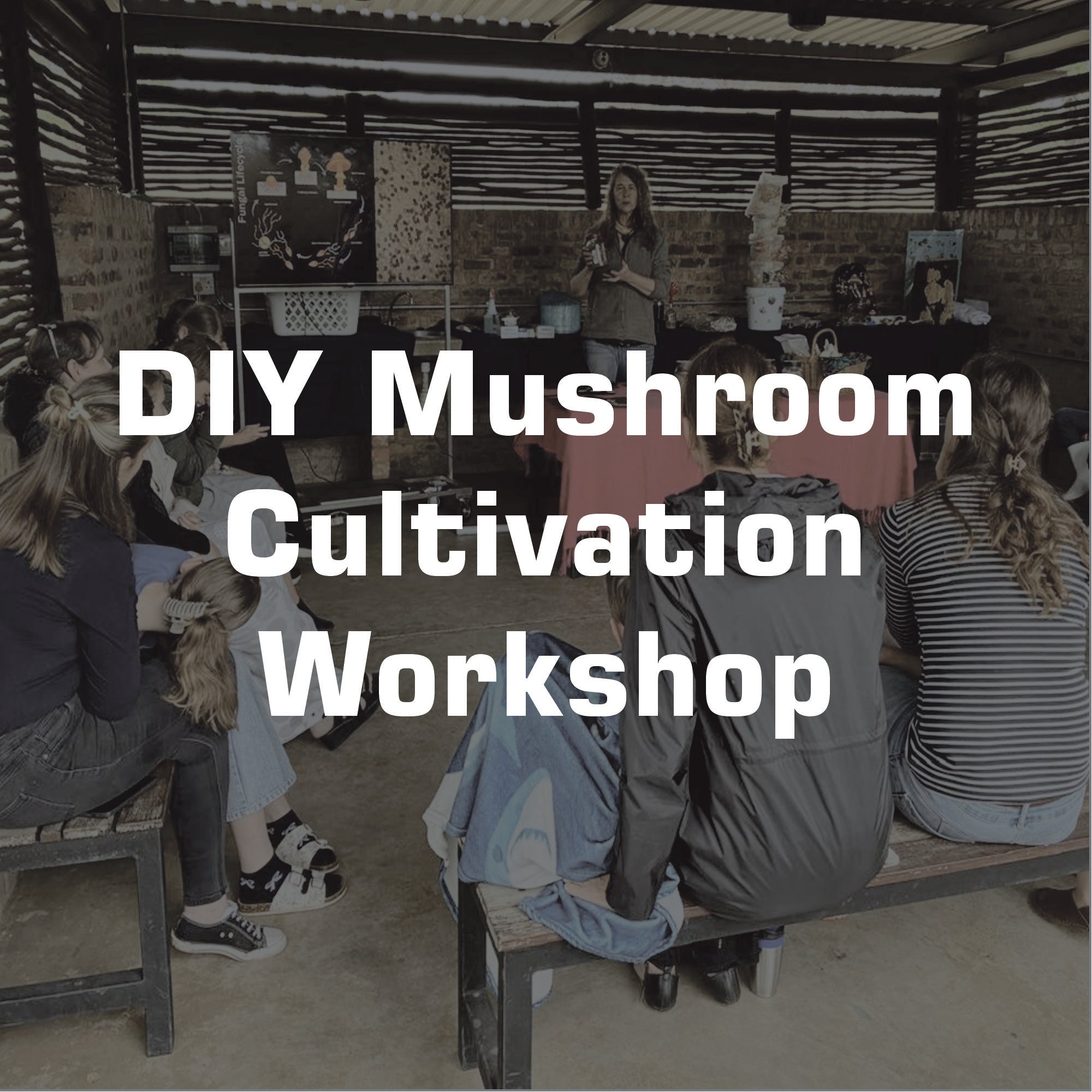DIY Mushroom Growing Workshop