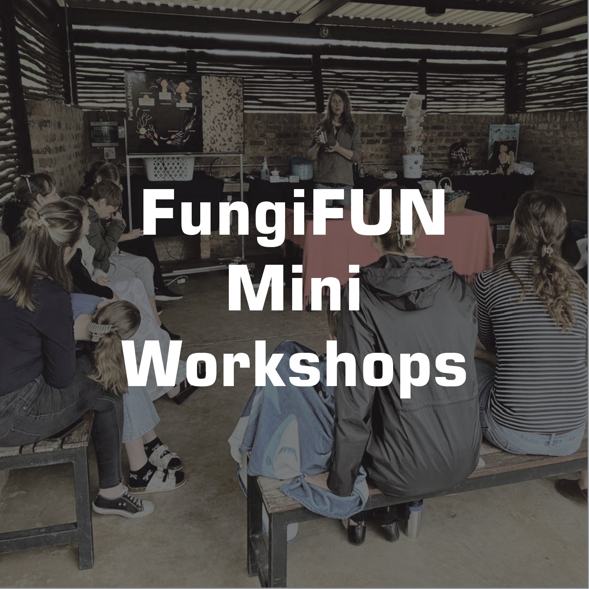 FungiFUN MINI Workshops