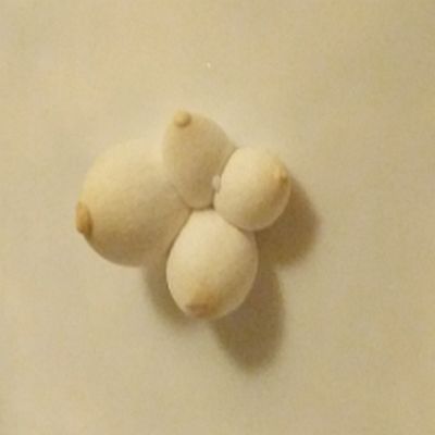 GROWTUB - King Oyster Mushroom (Pleurotus eryngii)