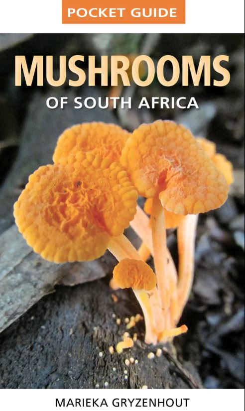 Pocket Guide Mushrooms of Southern Africa